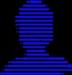 Pro plan icon
